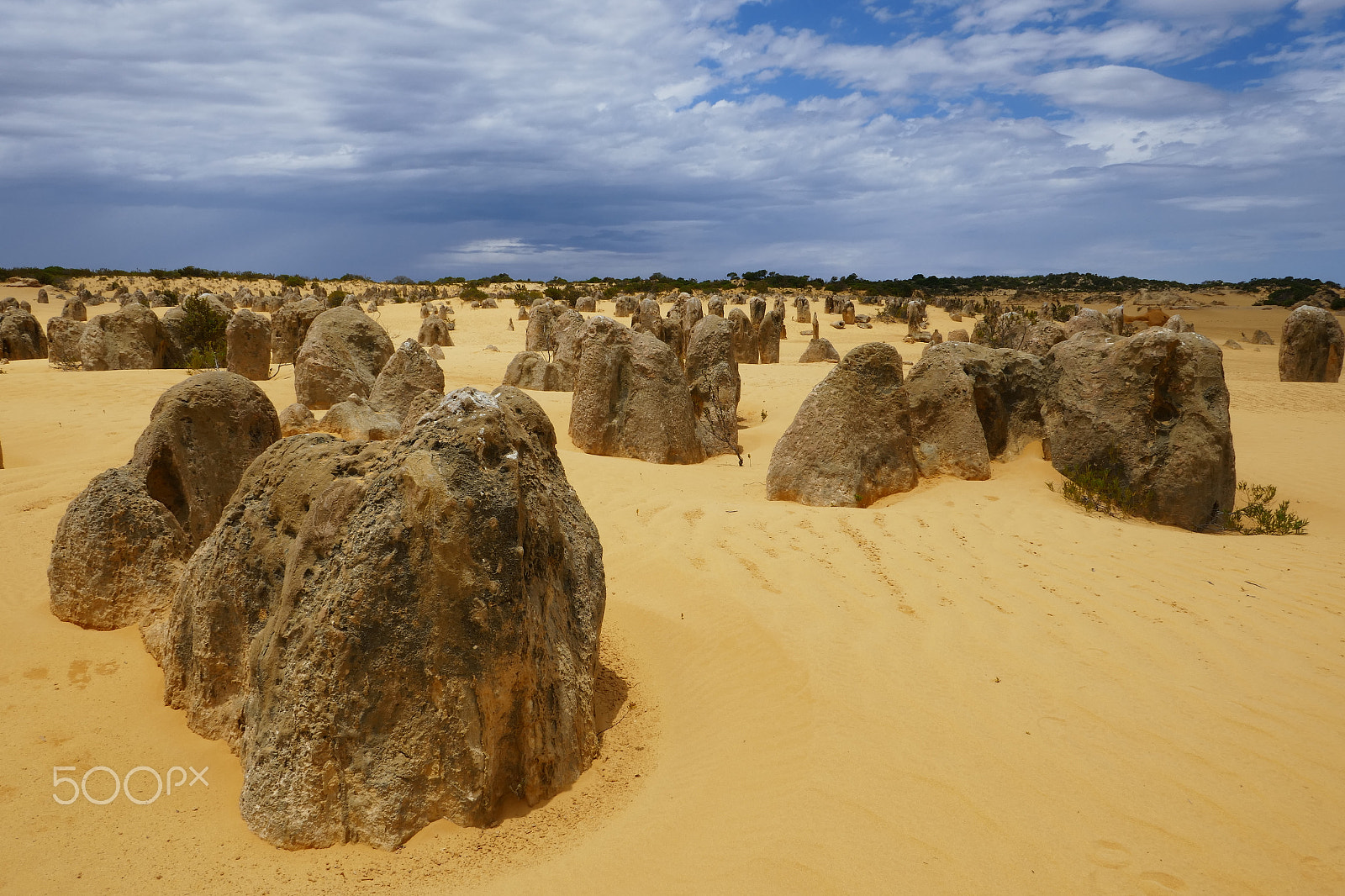 Panasonic DMC-TZ110 sample photo. Pinnacles desert, western australia photography