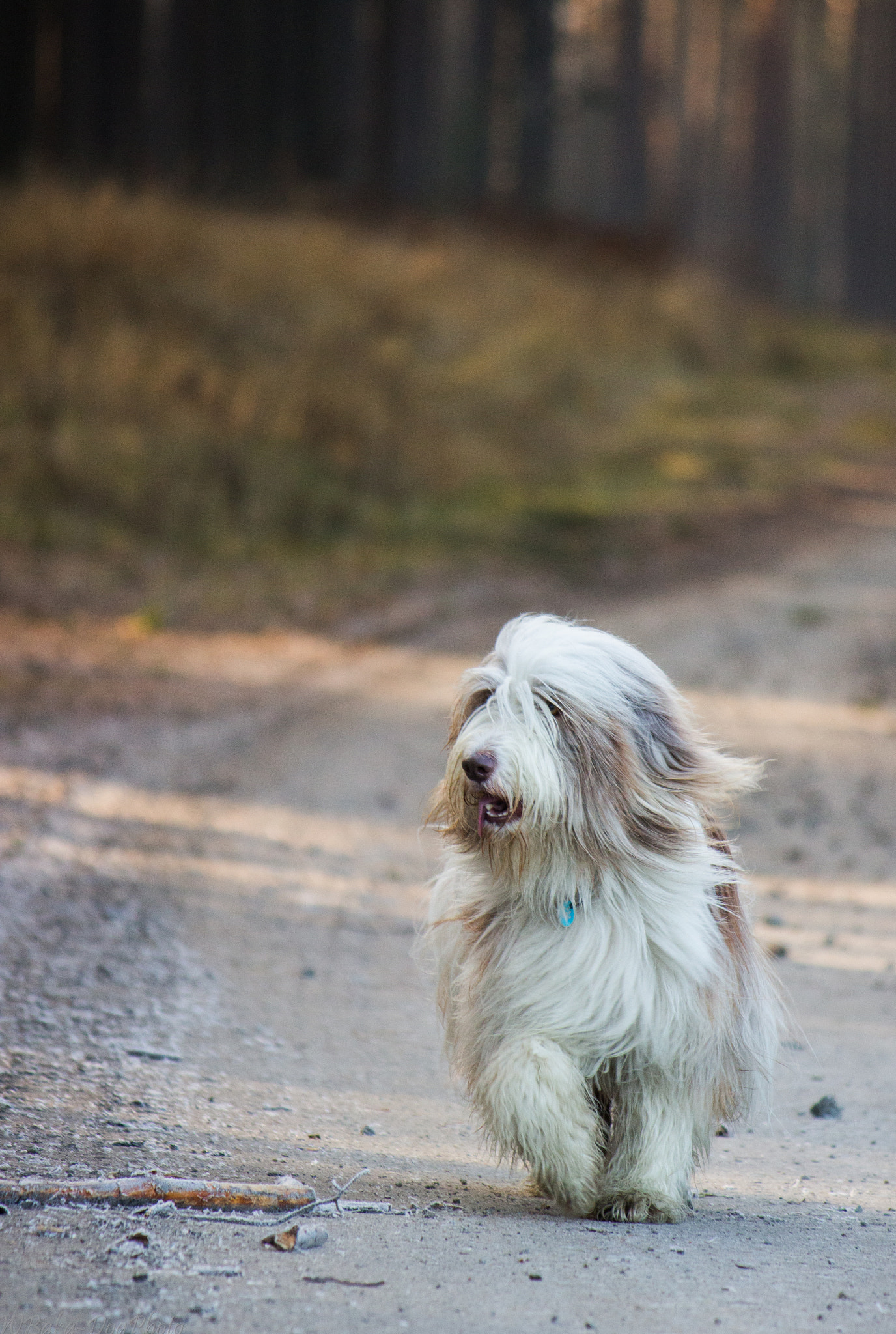 Canon EF-S 55-250mm F4-5.6 IS II sample photo. I'm going, mom! photography