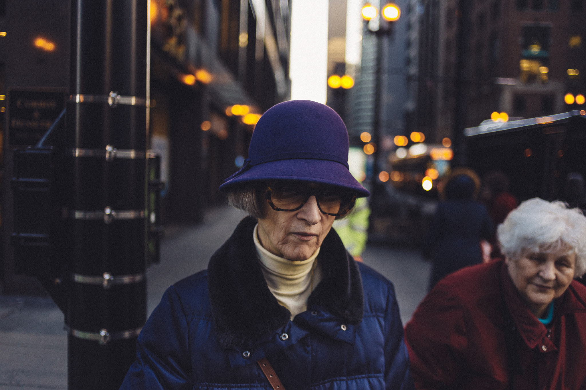Canon EOS 6D + Canon EF 35mm F2 sample photo. Purple. chicago, 2017 photography