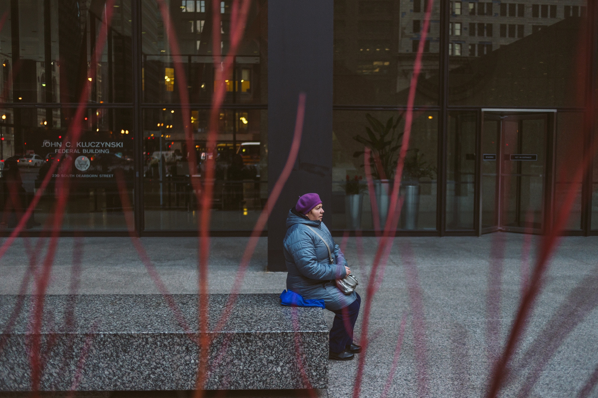 Canon EOS 6D + Canon EF 35mm F2 sample photo. Rooted. chicago, 2017 photography