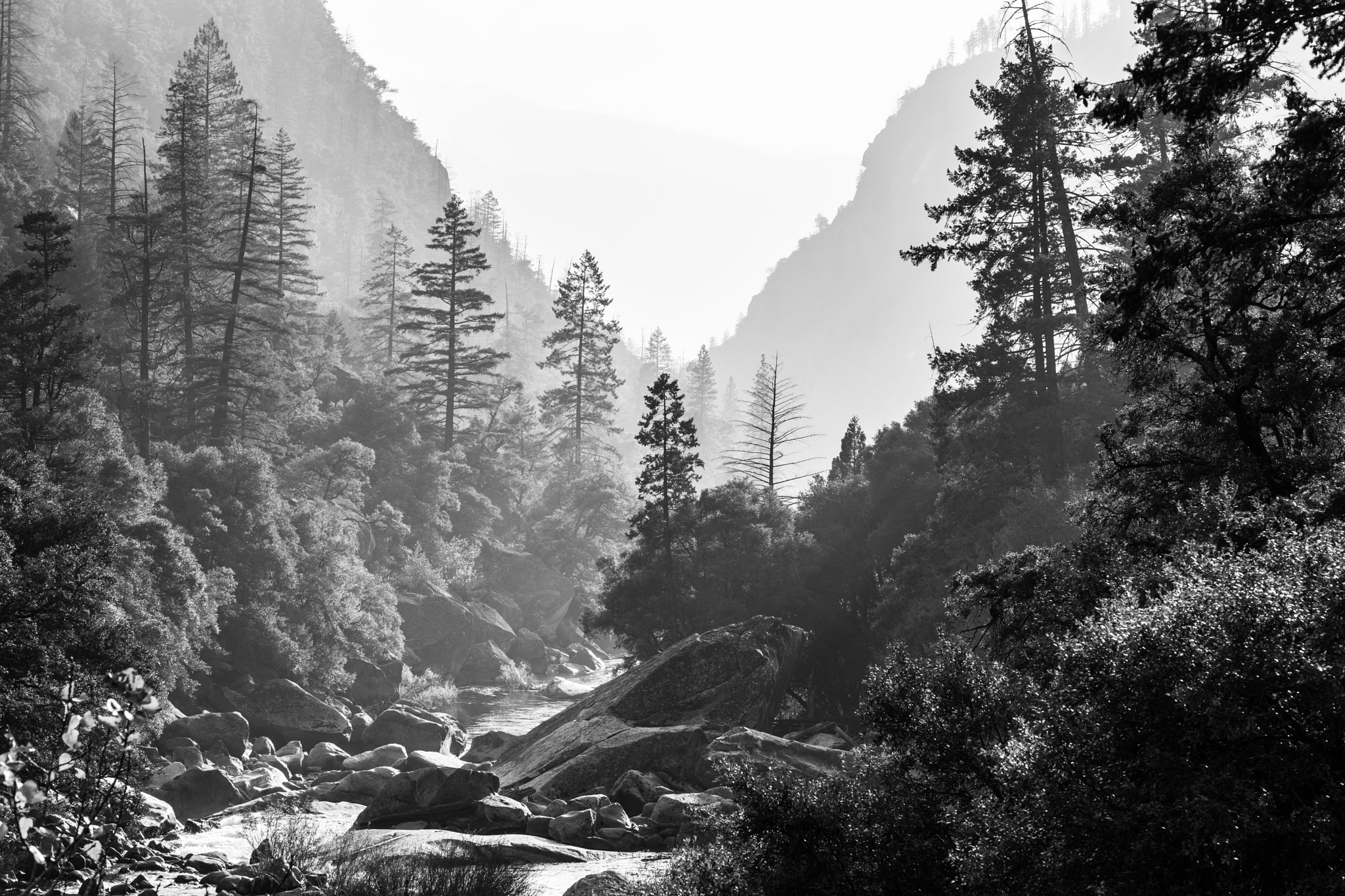 Sony a7 II + ZEISS Batis 85mm F1.8 sample photo. Yosemite river photography