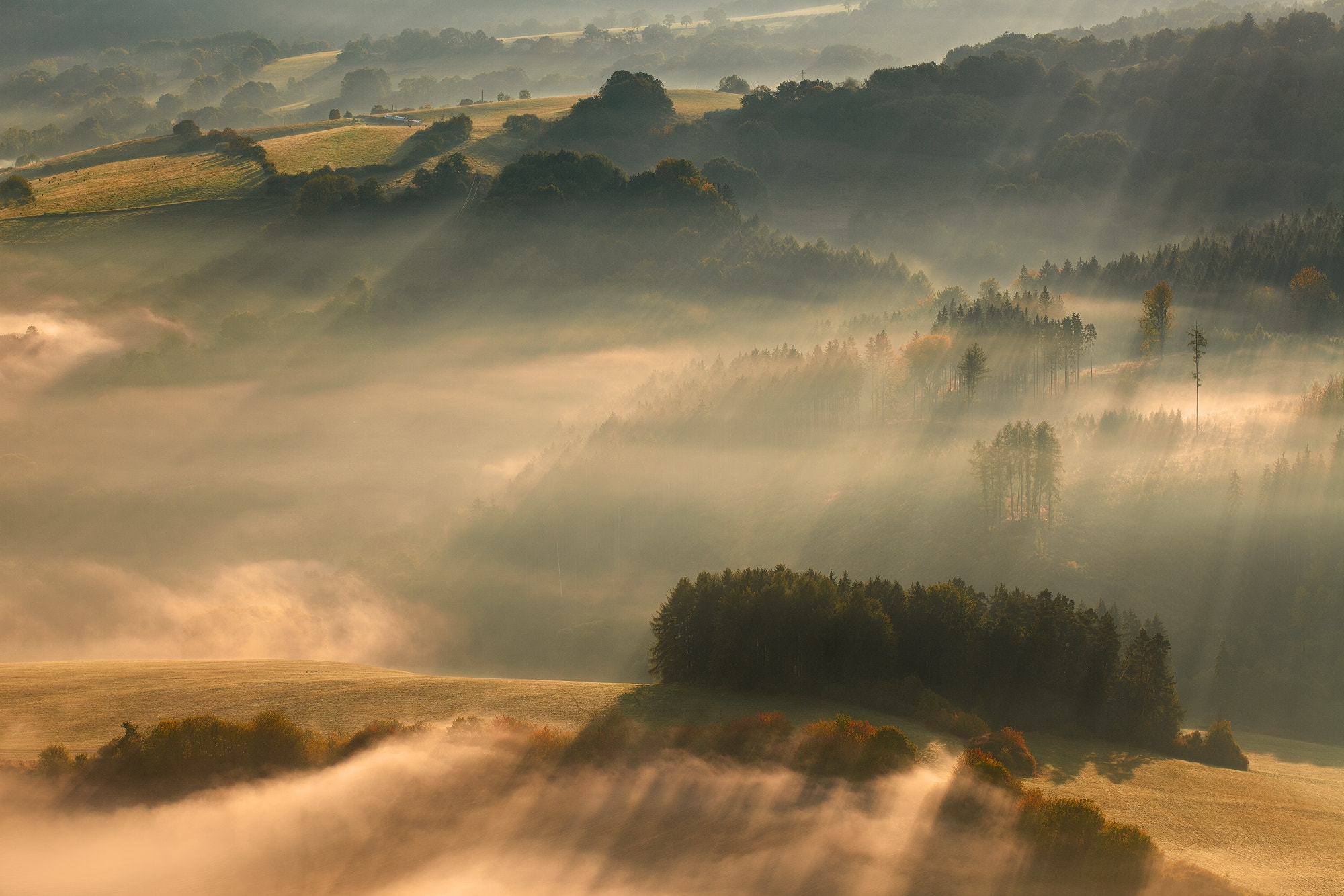 Canon EOS 5D Mark II + Sigma 100-300mm f/4 sample photo. Semnicka skala photography