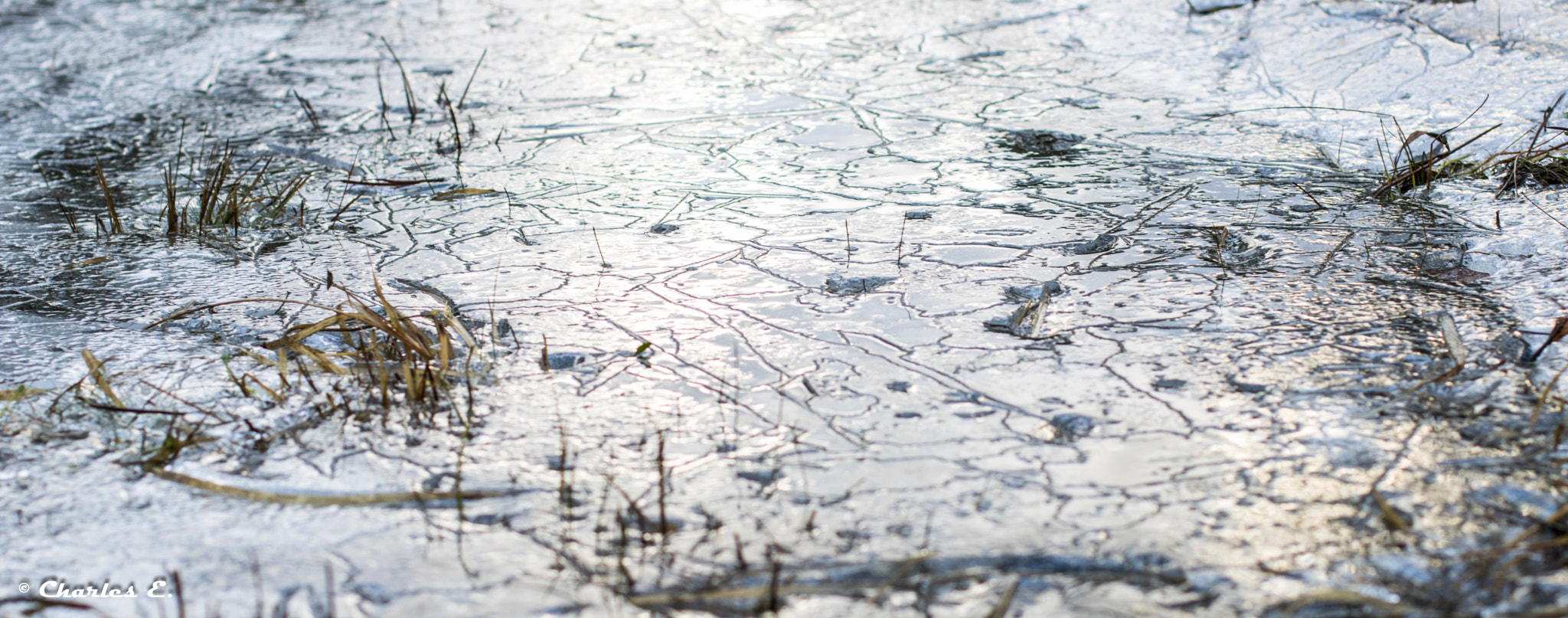 Canon EOS 750D (EOS Rebel T6i / EOS Kiss X8i) + Canon EF 50mm F1.4 USM sample photo. Ice photography