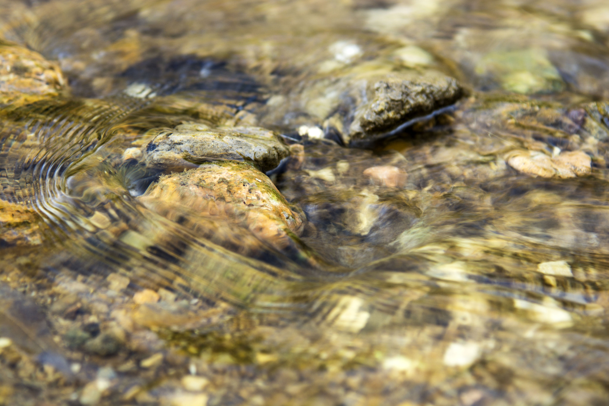 Nikon AF-S Nikkor 24-120mm F4G ED VR sample photo. Ripple effect photography