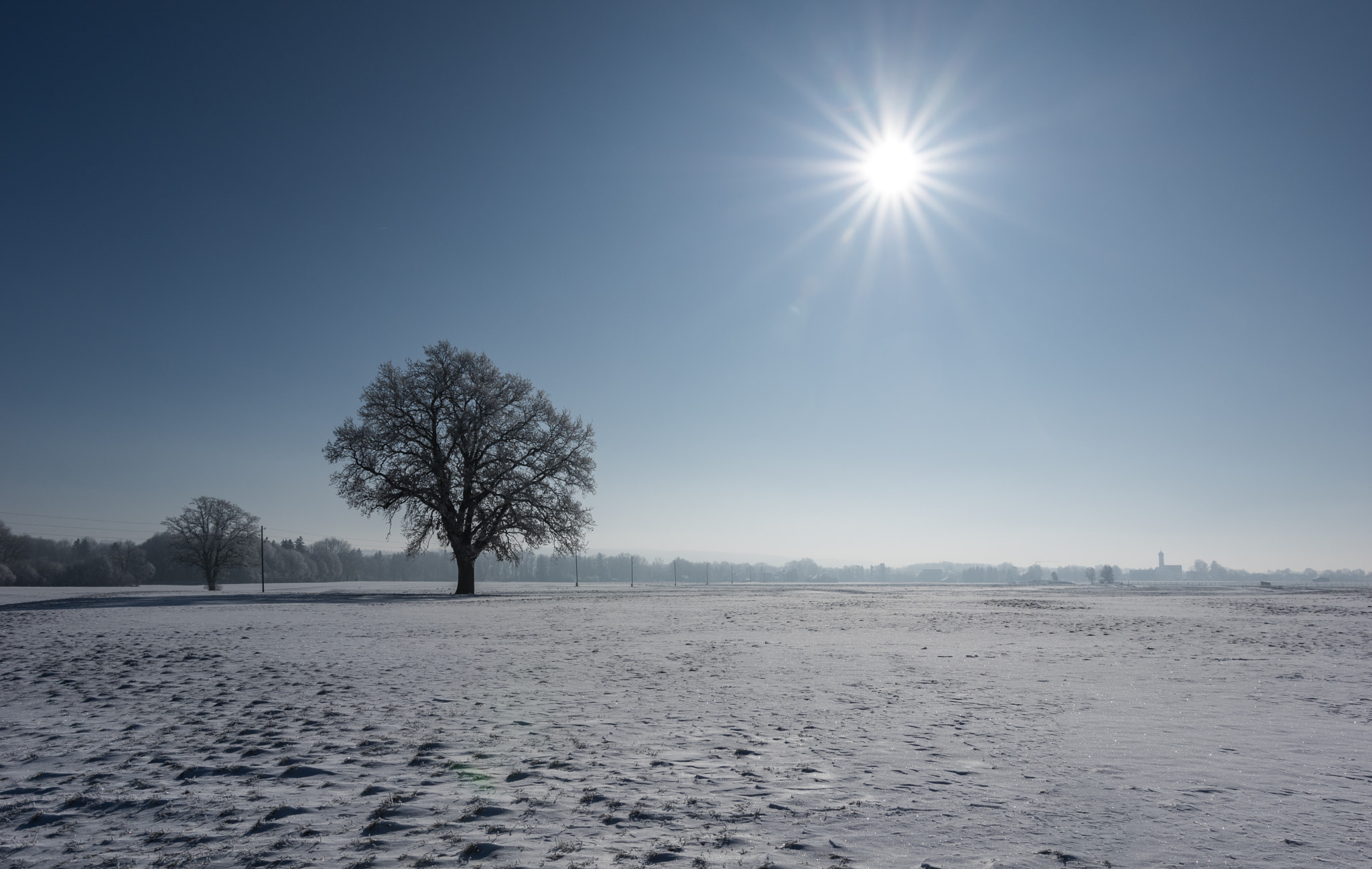 Pentax K-3 II sample photo. Ice age photography