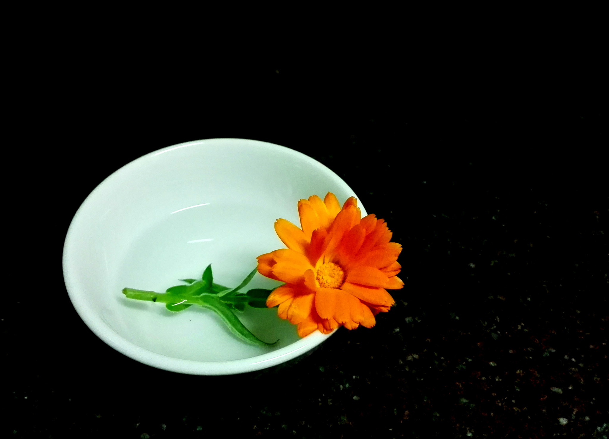 HUAWEI P7-L10 sample photo. Calendula photography