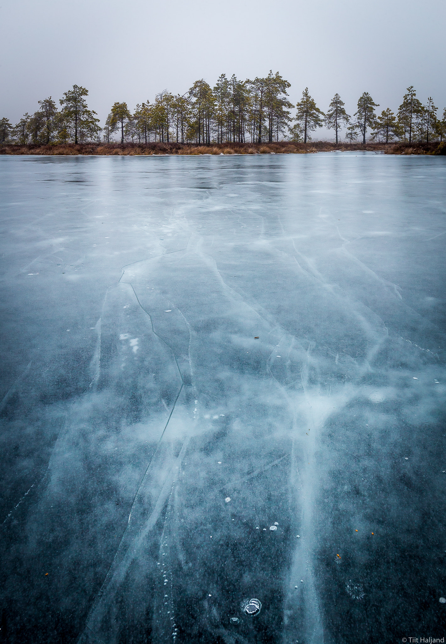 Canon EF 16-35mm F2.8L II USM sample photo. Sunrise at bog photography
