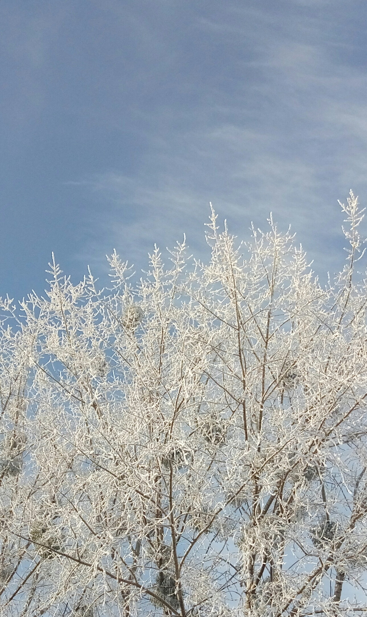 Meizu M3s sample photo