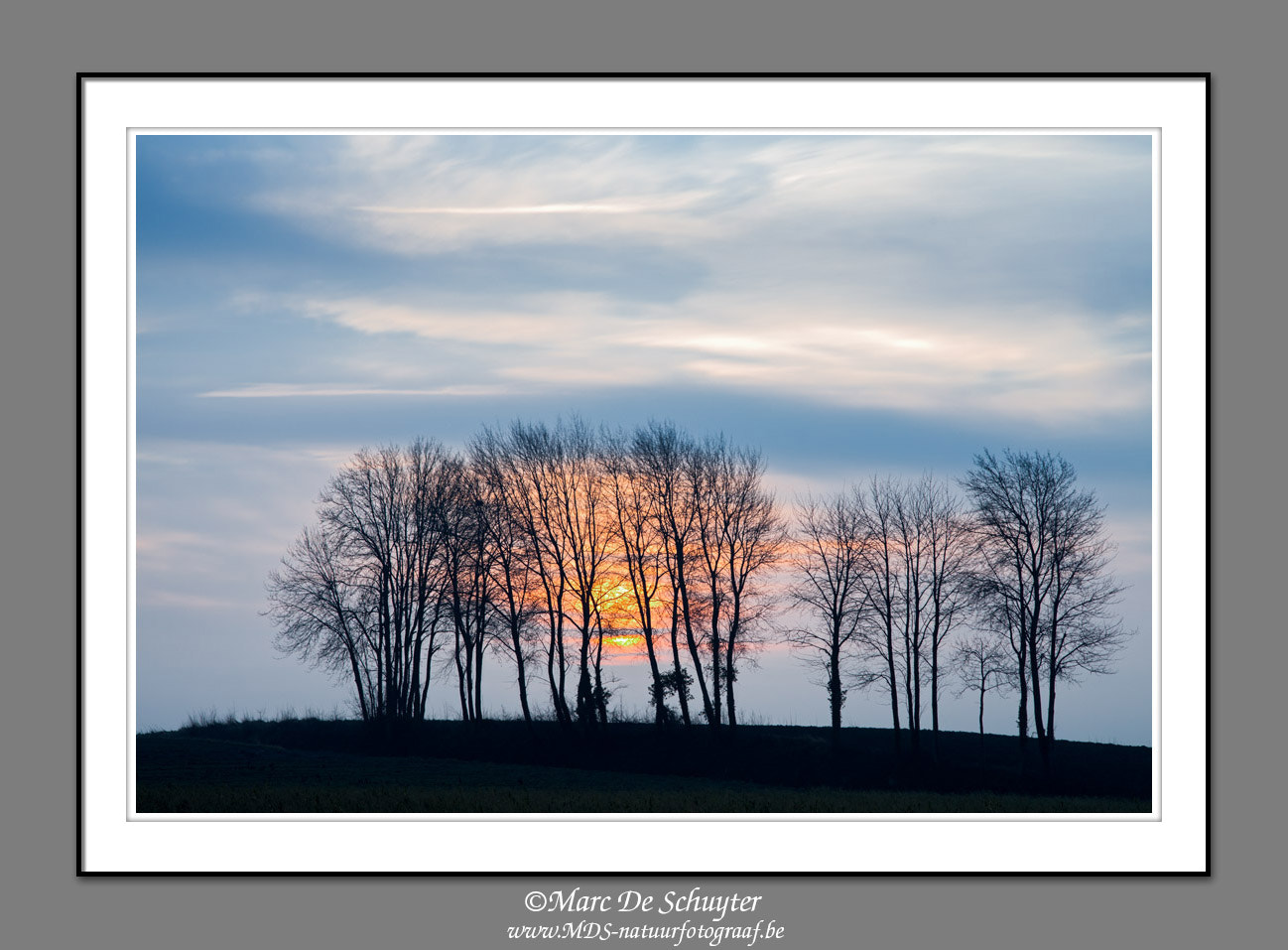 Canon EOS 5D Mark II sample photo. Trees and sunrise ii photography