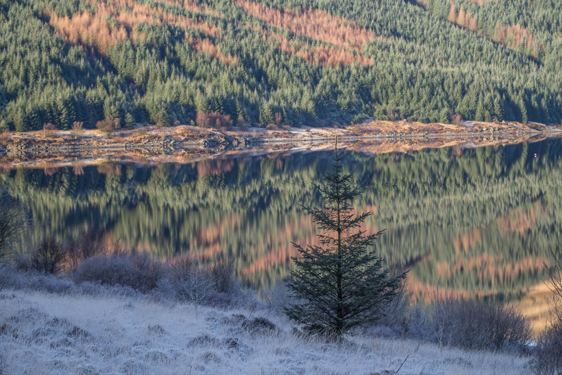 Canon EOS 1100D (EOS Rebel T3 / EOS Kiss X50) sample photo. Frosty reflections photography
