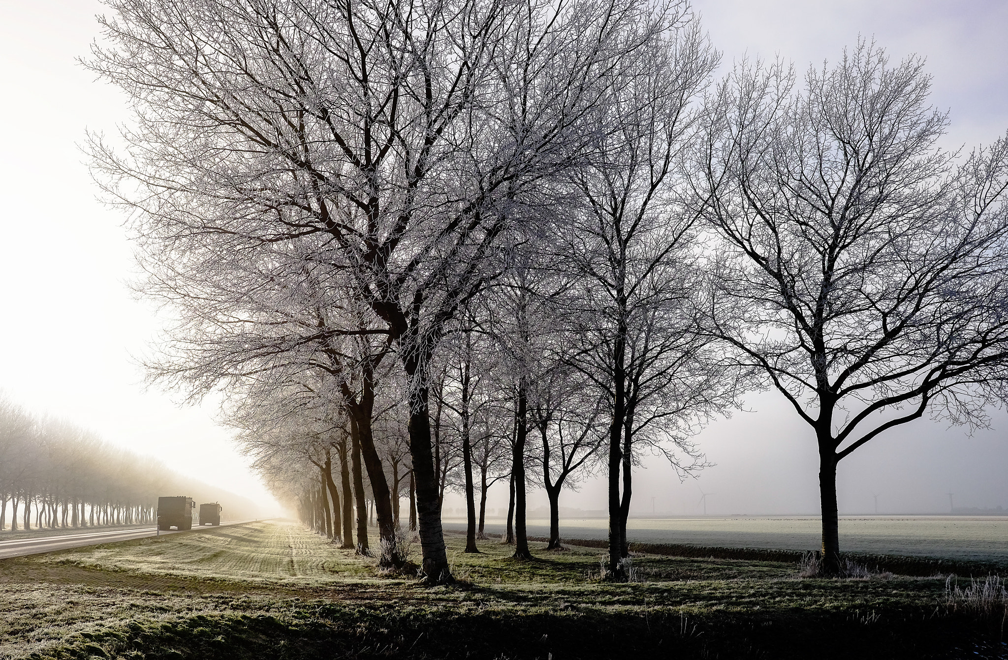 Fujifilm X-T1 + Fujifilm XF 23mm F2 R WR sample photo. Flevoland sun trees fog and traffic photography