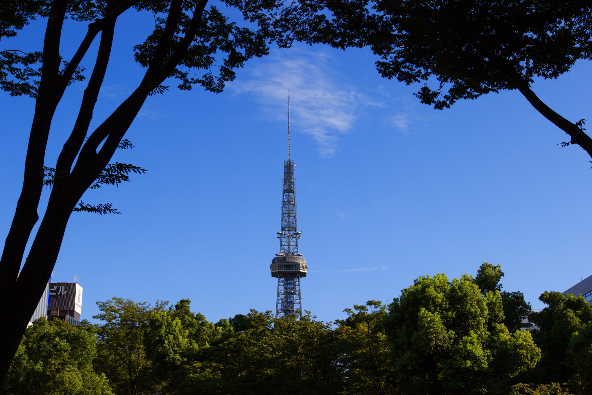 Canon EOS 600D (Rebel EOS T3i / EOS Kiss X5) + Canon EF 16-35mm F2.8L II USM sample photo. Nagoya tv tower photography