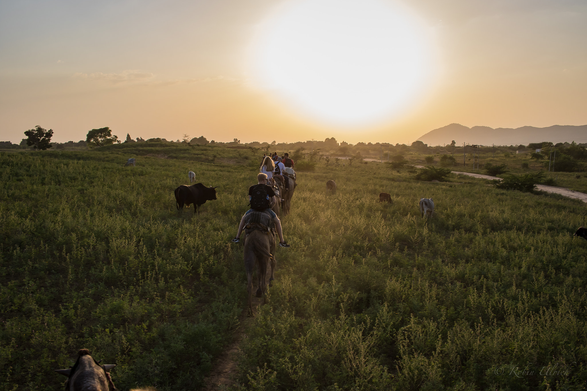 Canon EF-S 24mm F2.8 STM sample photo. Indien photography