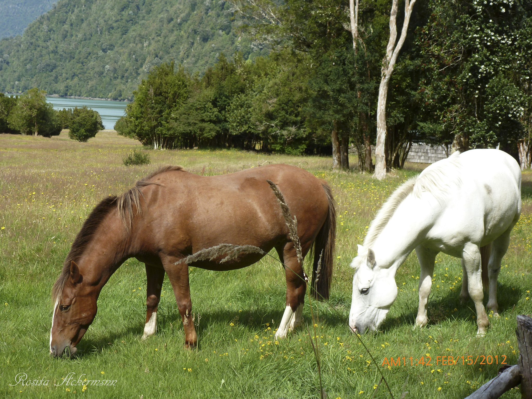 Panasonic Lumix DMC-ZS8 (Lumix DMC-TZ18) sample photo. In caleta gonzalo chile photography