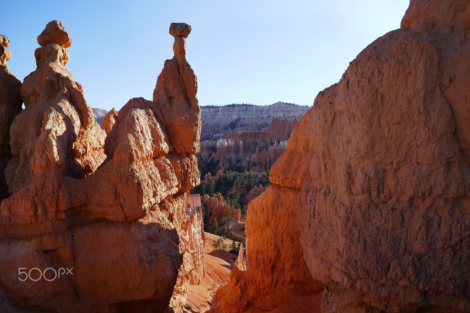 Panasonic DMC-TZ110 sample photo. Bryce canyon, utah photography