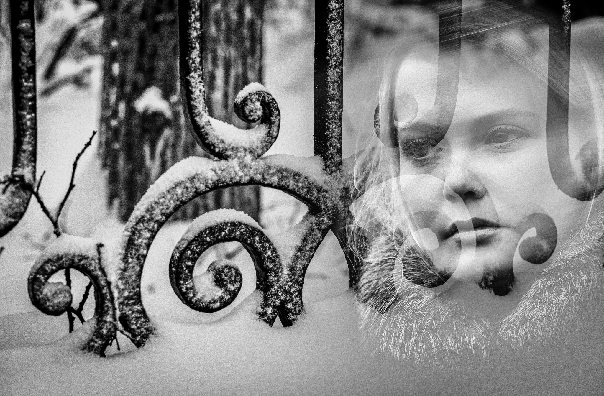 Summicron-M 1:2/50 sample photo. Winter photography
