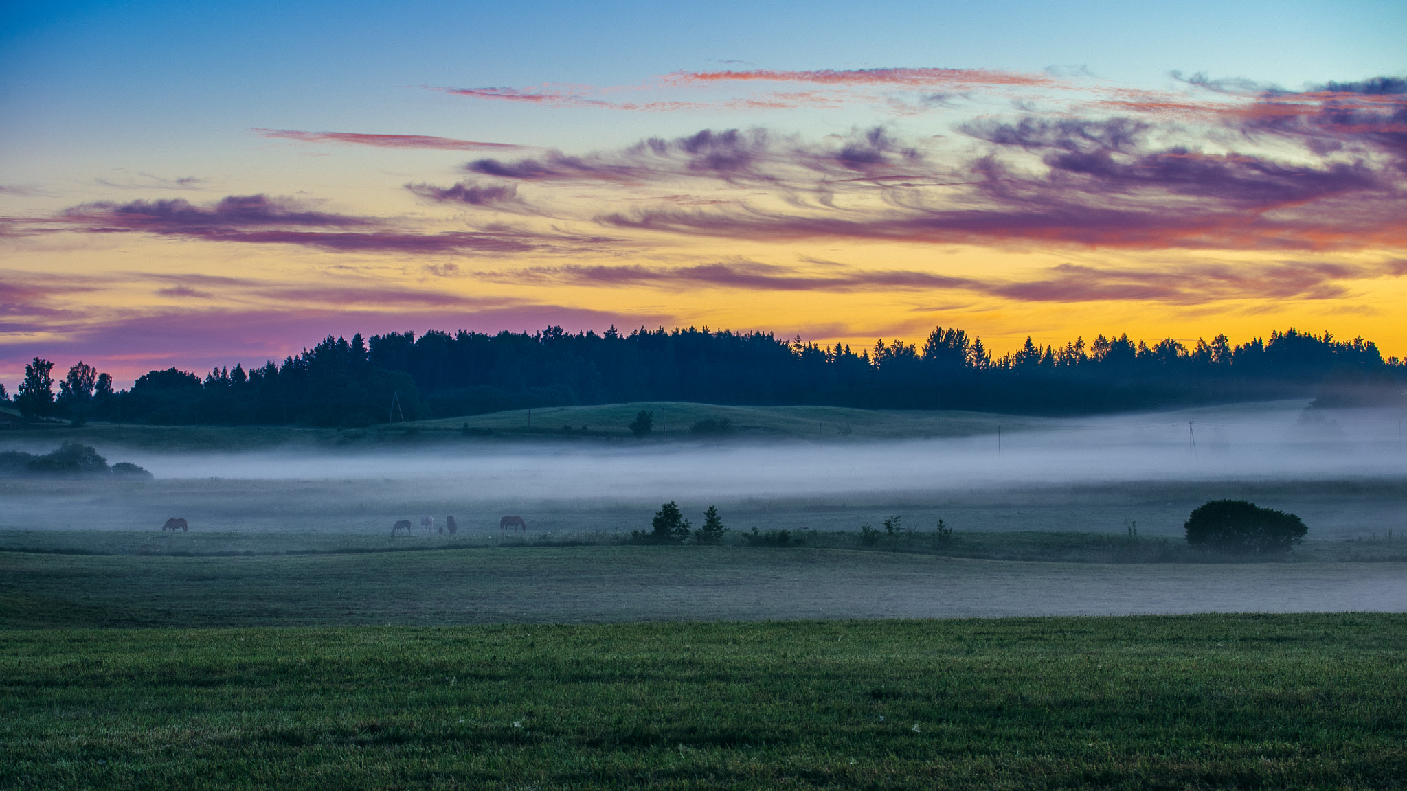 Sony a7S sample photo. Sunrise pasture photography