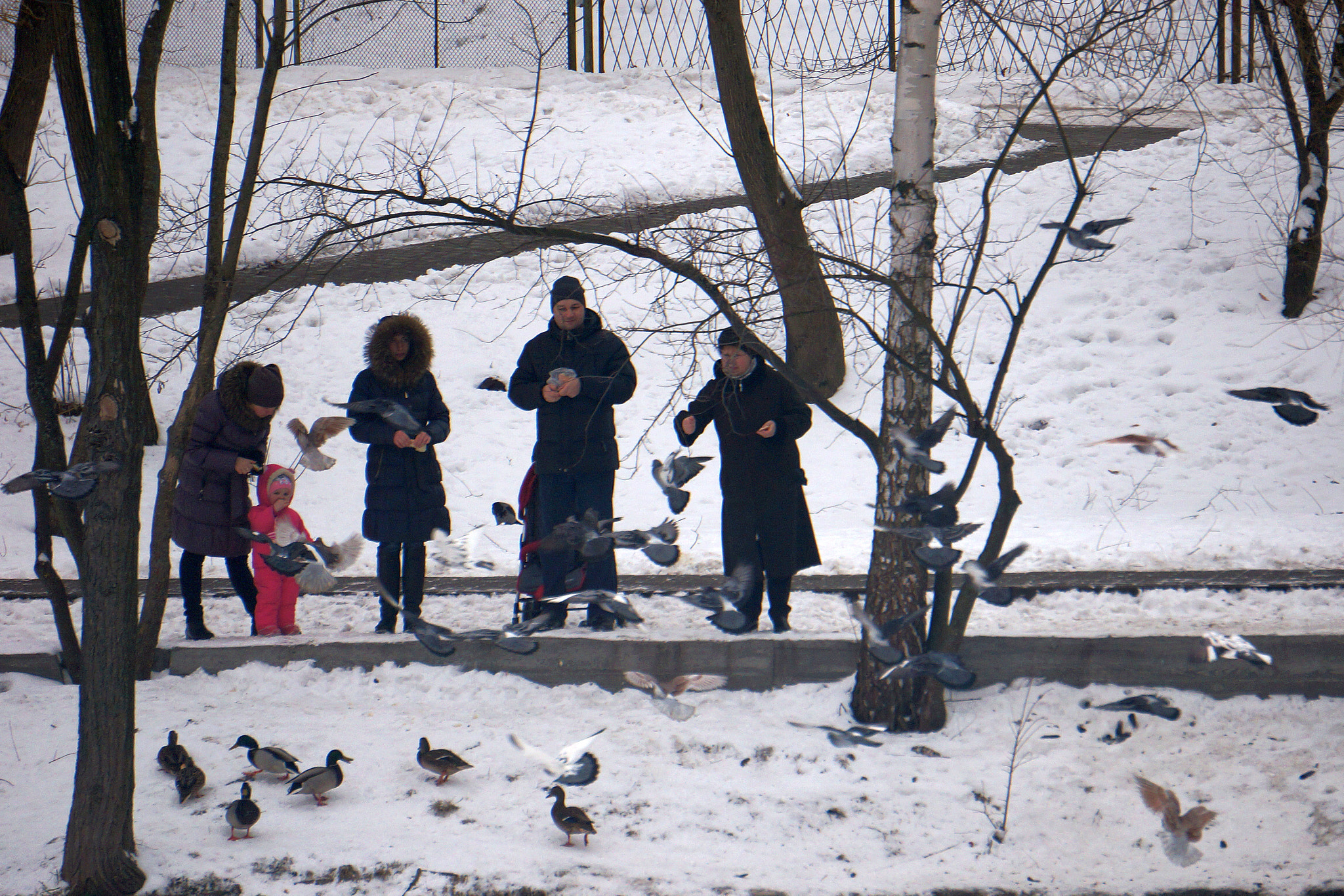 Sony E 55-210mm F4.5-6.3 OSS sample photo. People and birds photography