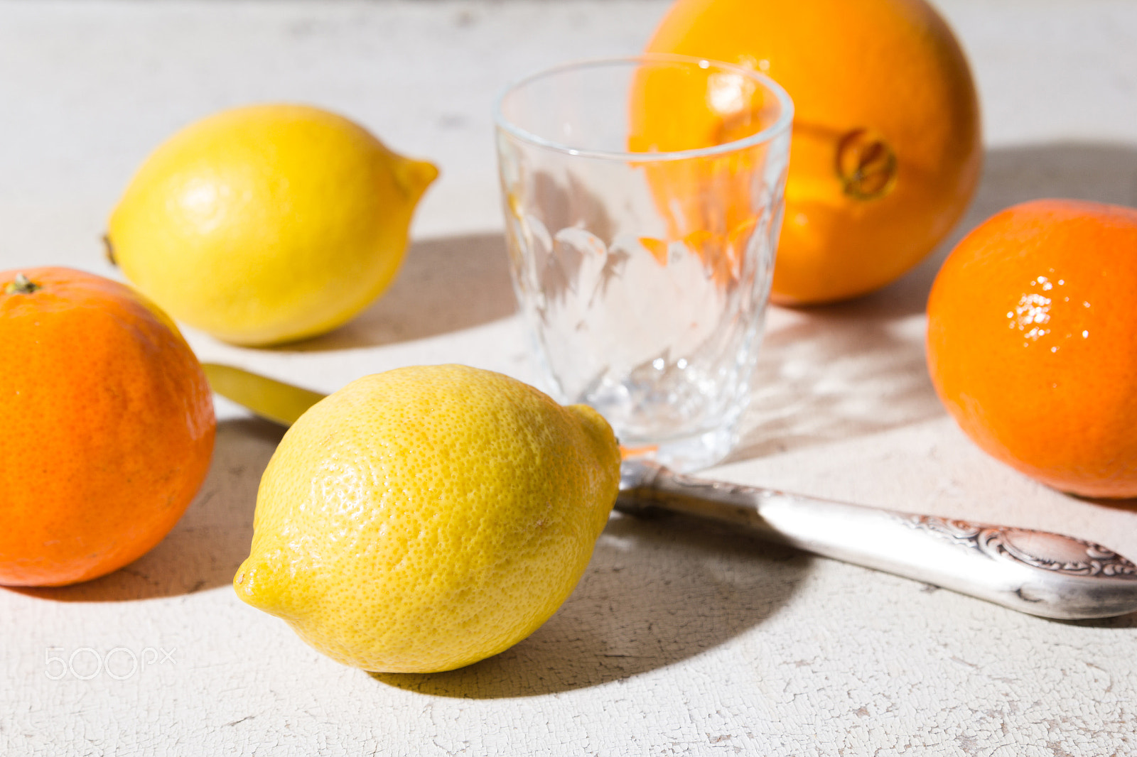 Canon EOS 60D sample photo. Different kinds of citrus on white background photography
