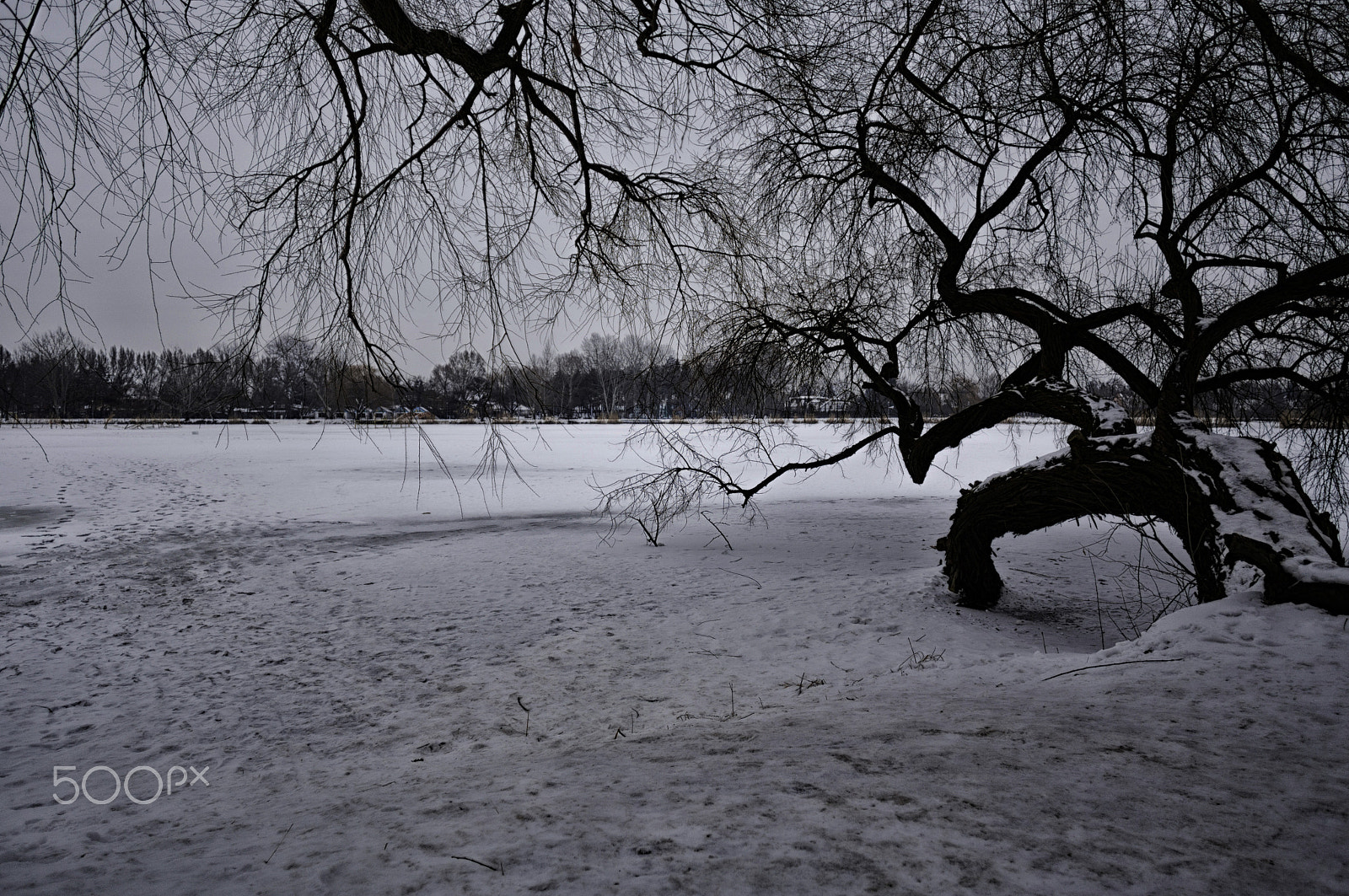 Canon EOS 6D + Canon EF 20mm F2.8 USM sample photo. Frozen lake photography
