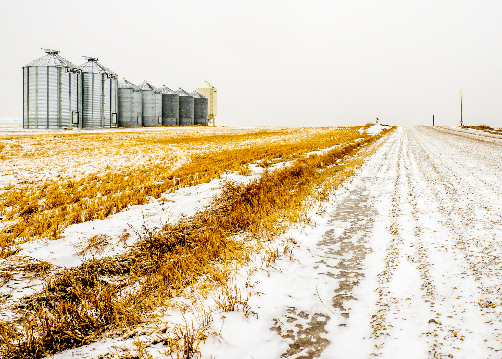 Olympus OM-D E-M1 sample photo. Golden prairies winter photography