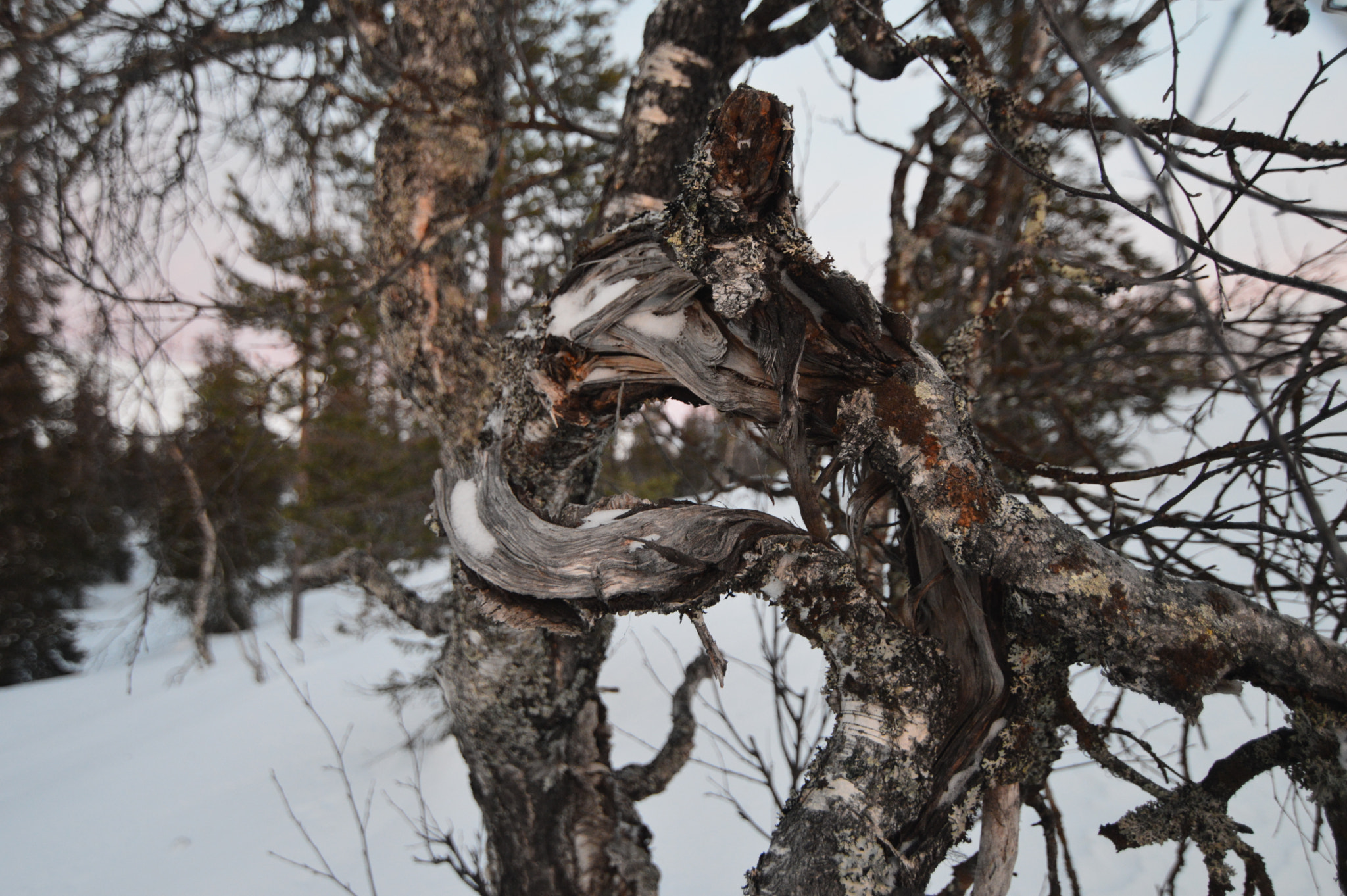 Nikon D3200 sample photo