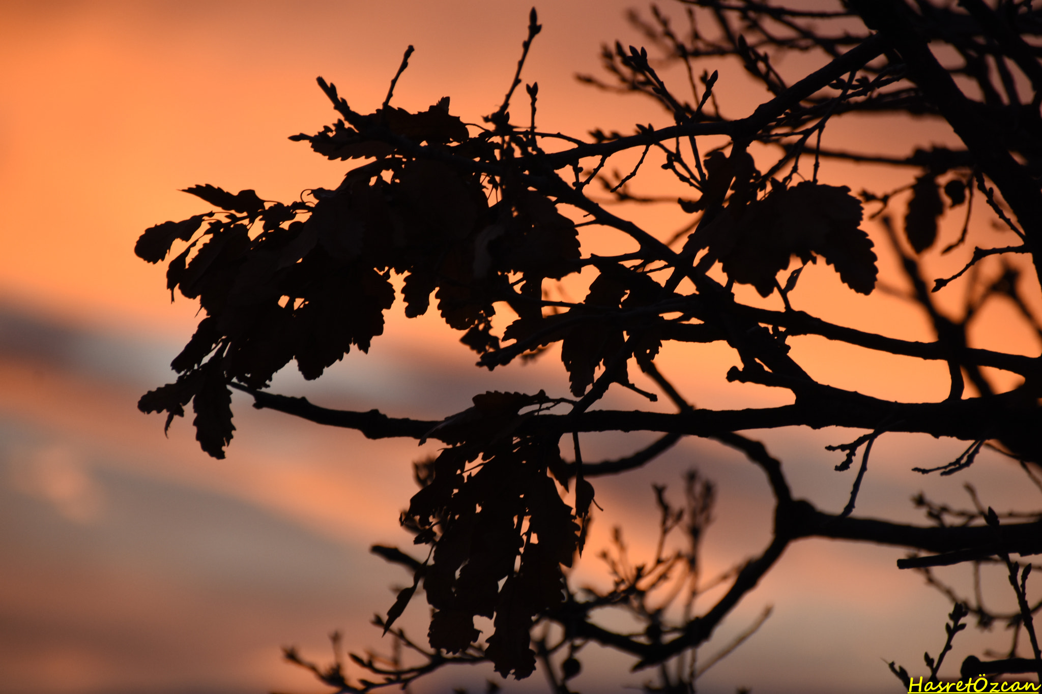 Sigma 18-250mm F3.5-6.3 DC Macro OS HSM sample photo. Sunset  photography