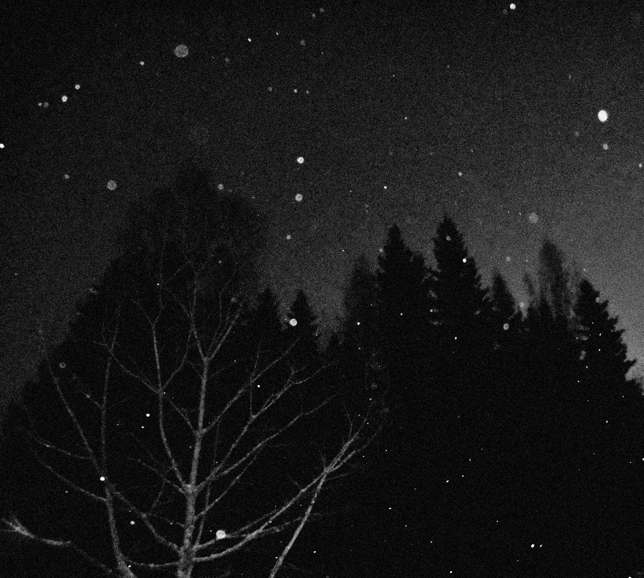 Nikon Coolpix S3600 sample photo. Gloom of the eternal night photography
