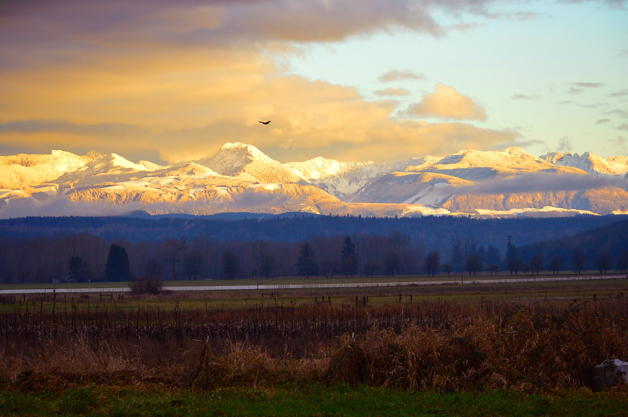 Nikon D3200 + Nikon AF-S Nikkor 28-70mm F2.8 ED-IF sample photo. Sunset near my home photography