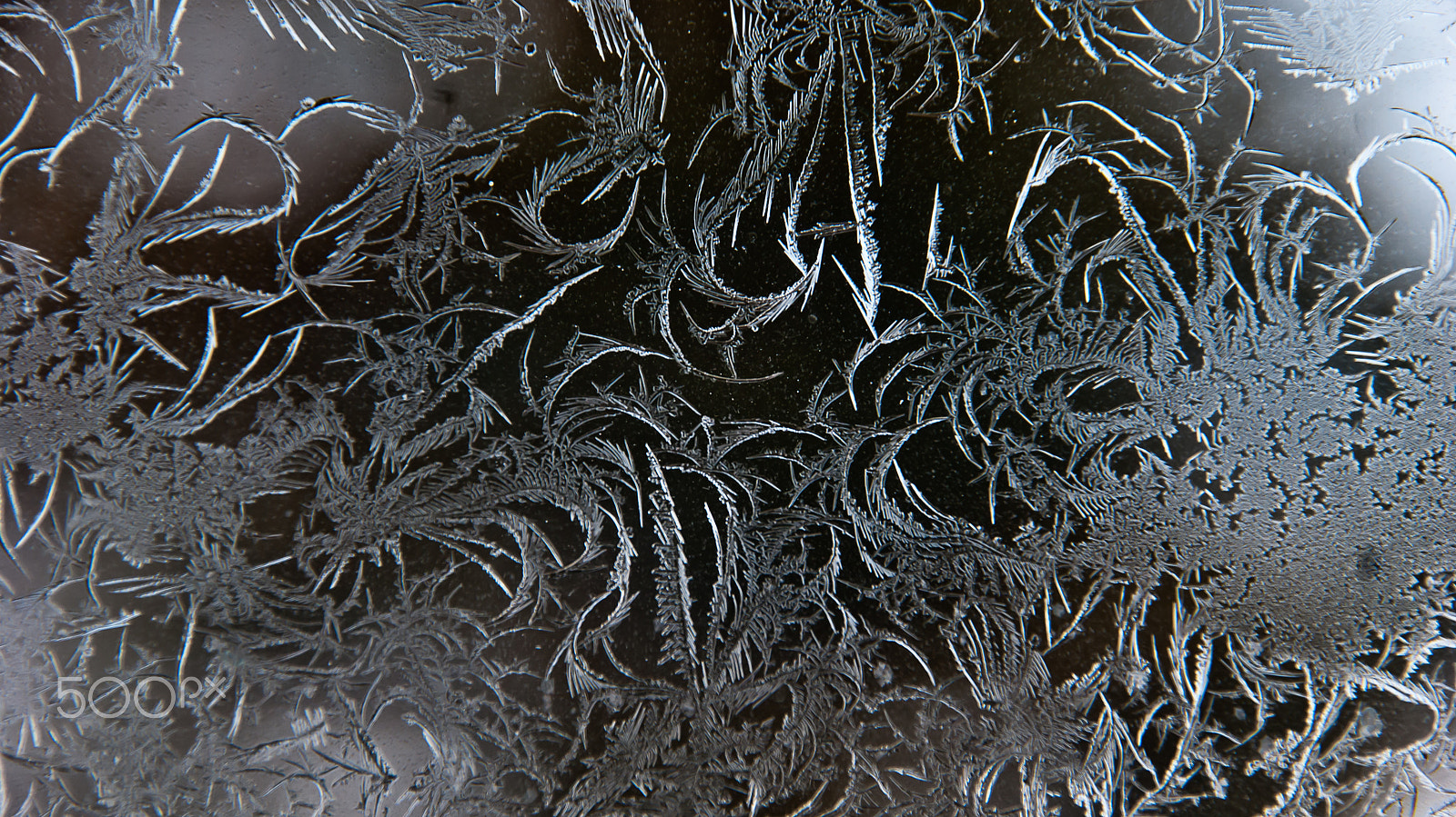 Sony Alpha DSLR-A330 sample photo. Freezing window photography