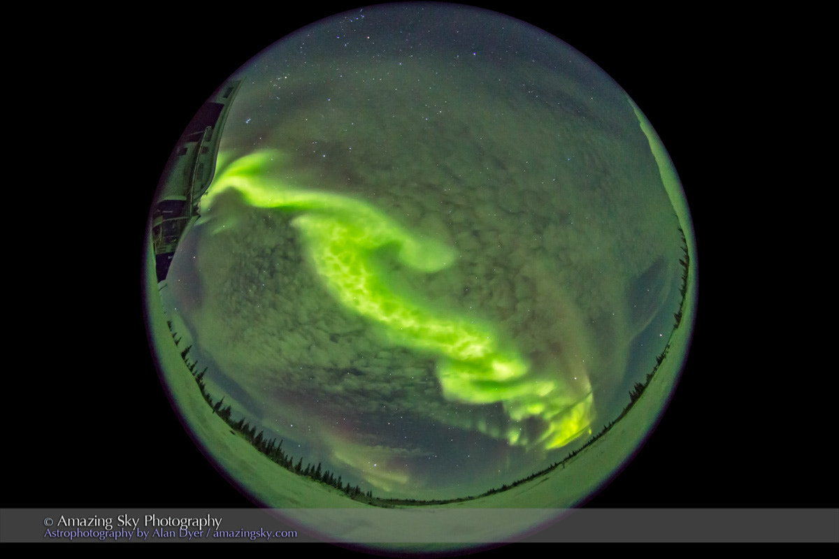 Canon EOS 6D + Sigma 8mm F3.5 EX DG Circular Fisheye sample photo. All-sky aurora from churchill #2 (january 29, 2017) photography