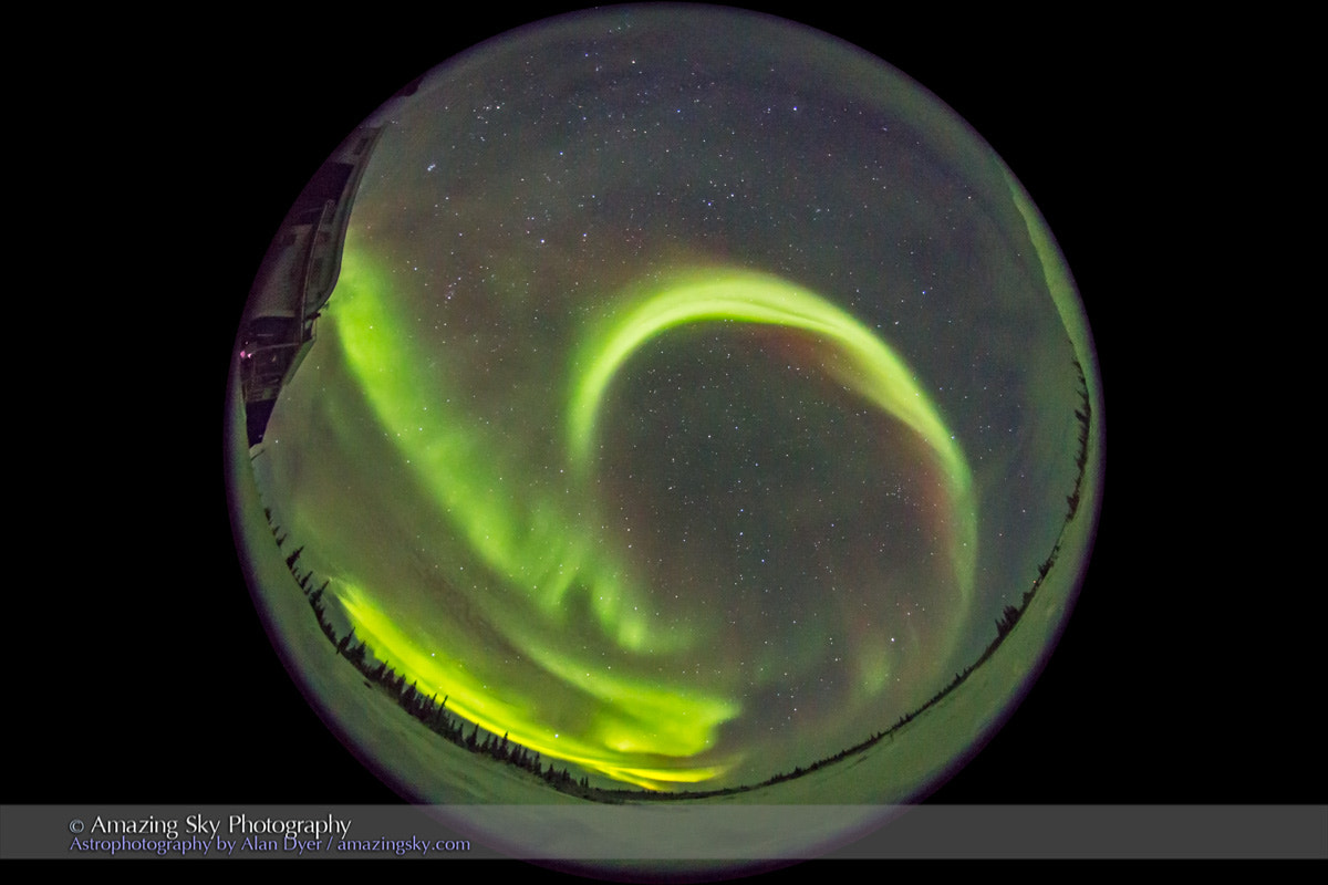 Sigma 8mm F3.5 EX DG Circular Fisheye sample photo. All-sky aurora from churchill #1 (january 29, 2017) photography