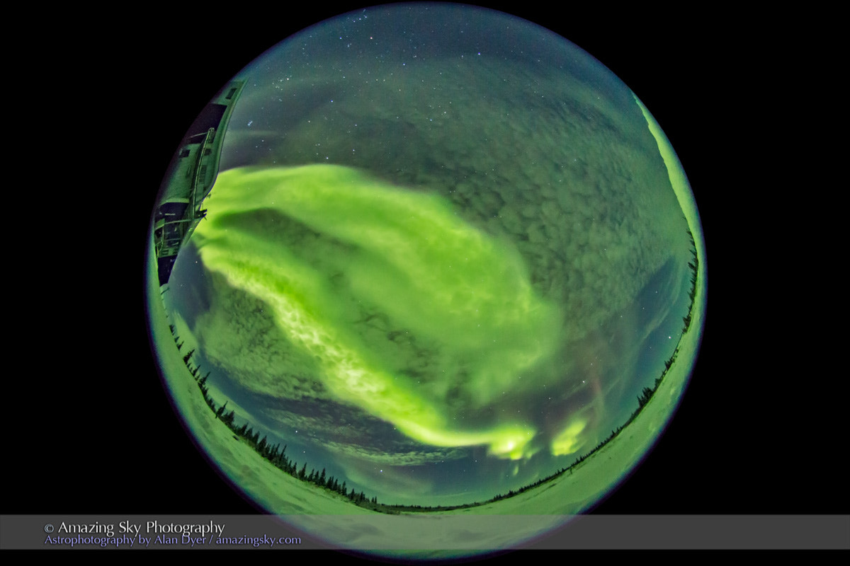 Sigma 8mm F3.5 EX DG Circular Fisheye sample photo. All-sky aurora from churchill #4 (january 29, 2017) photography