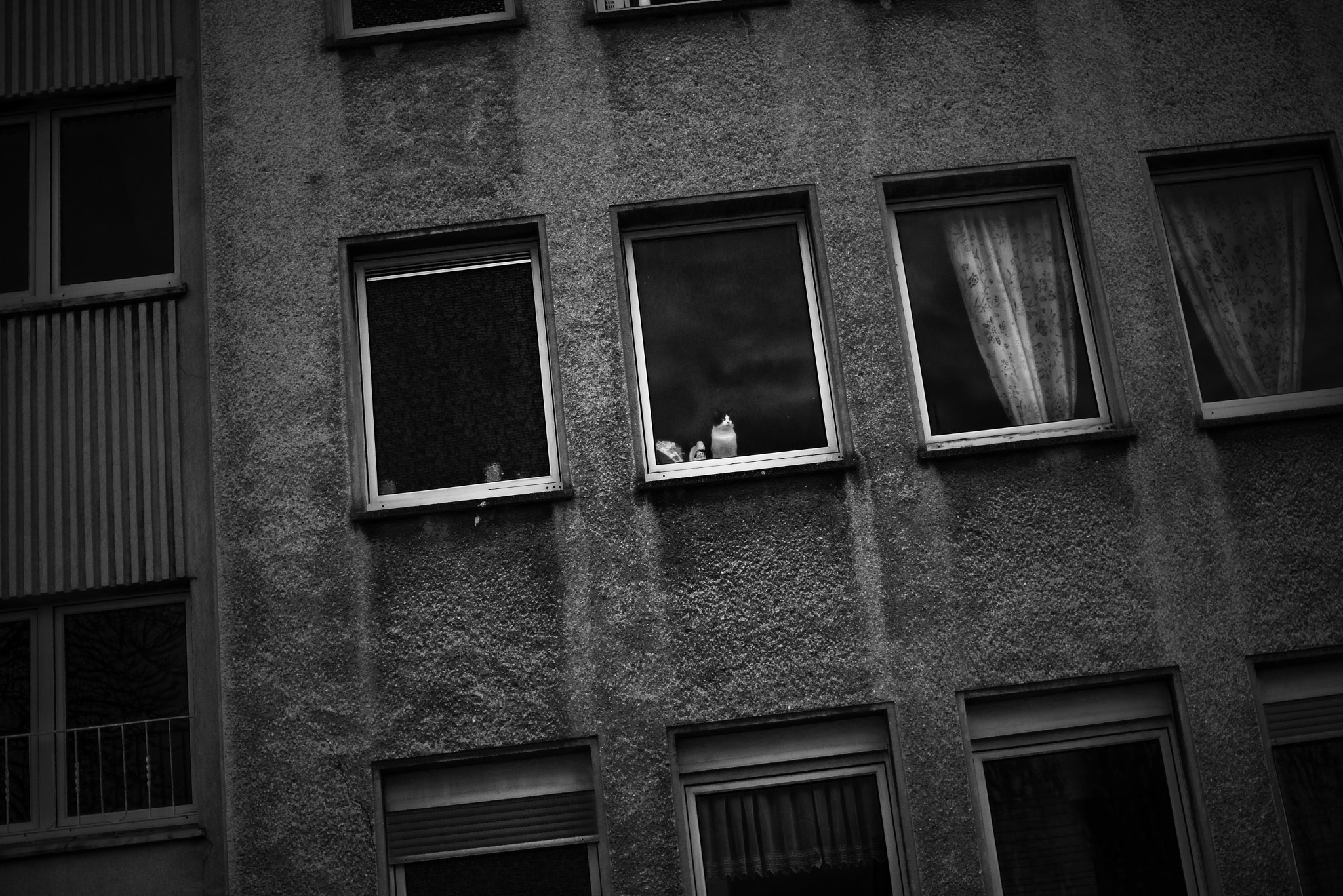 Nikon D600 + Nikon AF Nikkor 50mm F1.4D sample photo. Watching photography