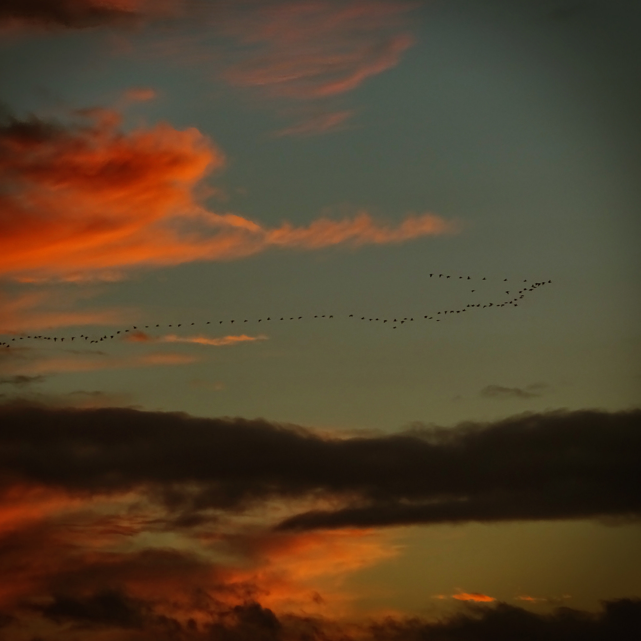 Sony 24-720mm F3.5-6.3 sample photo. Scottish sunset. photography