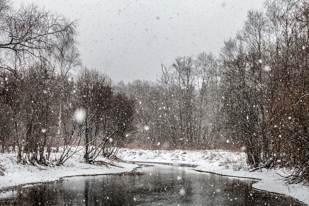 Canon EF 70-300mm F4-5.6 IS USM sample photo. Snowflakes photography