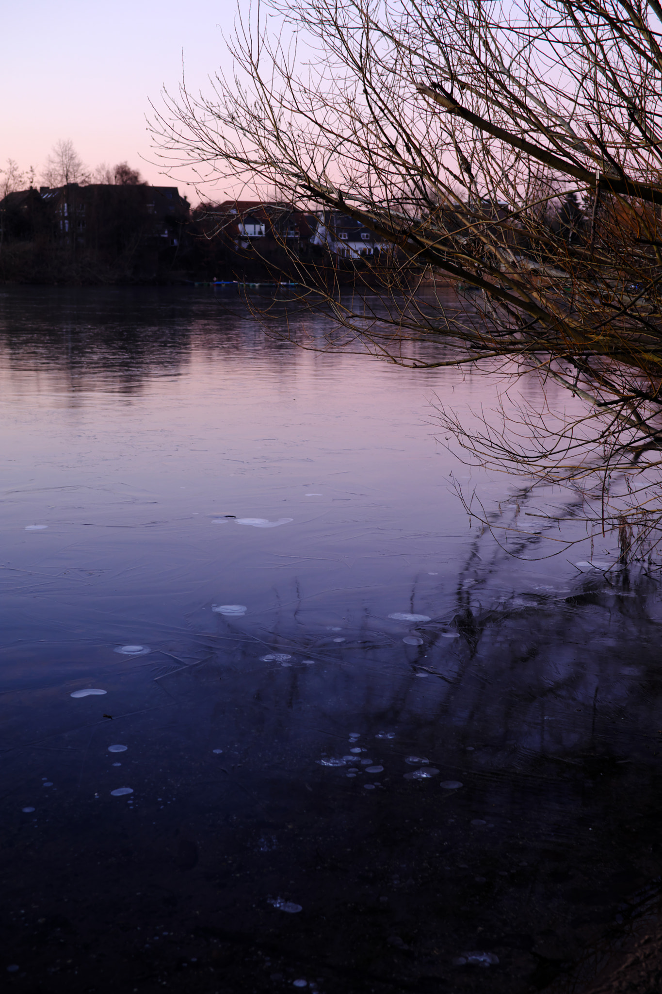 Fujifilm X-T2 + ZEISS Touit 32mm F1.8 sample photo. Frozen pond 2 photography