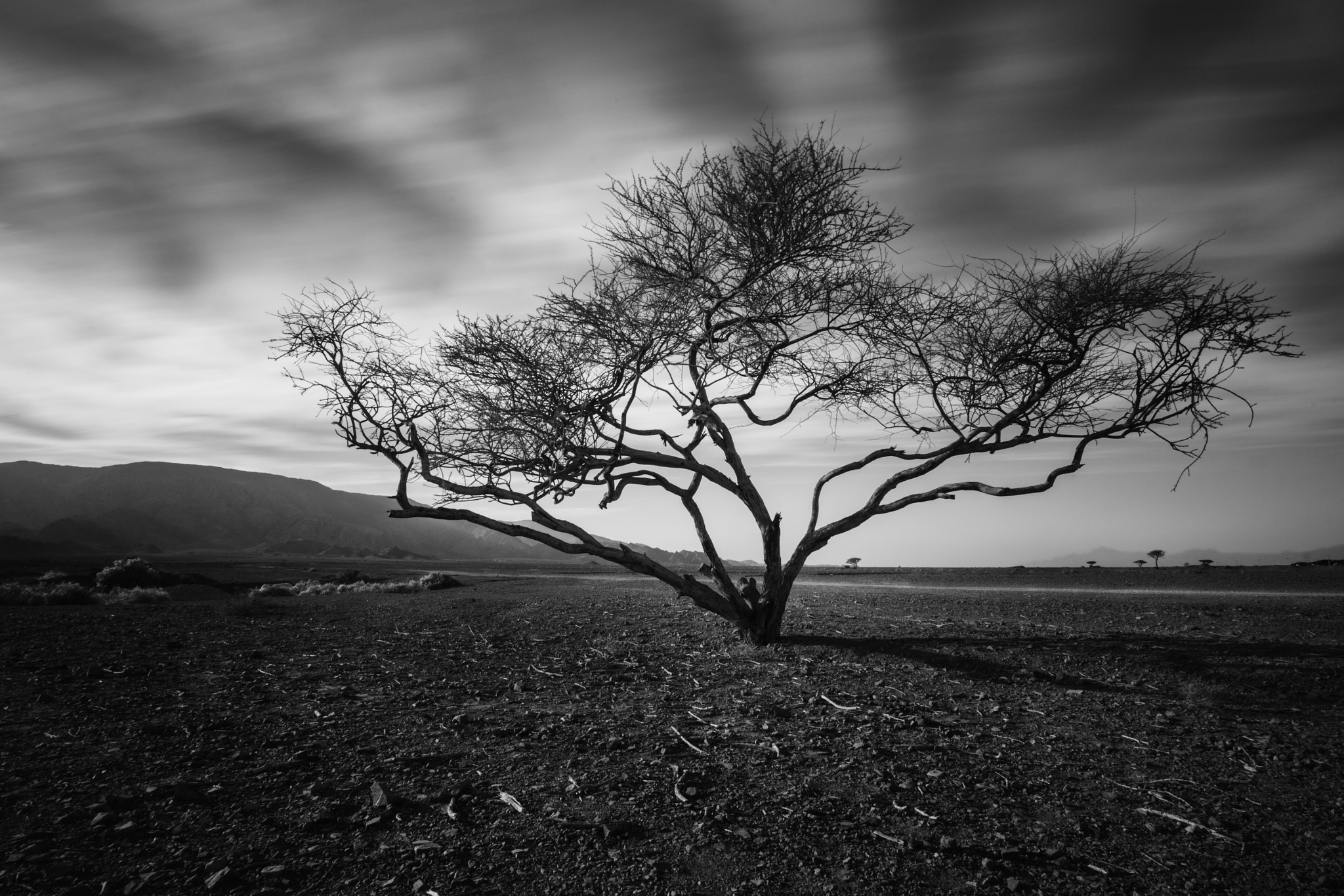 Tokina AT-X Pro 11-16mm F2.8 DX sample photo. A photography
