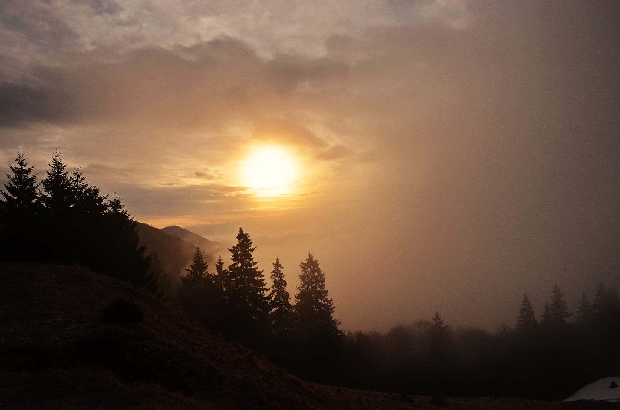 Nikon D7000 + Sigma 18-50mm F2.8-4.5 DC OS HSM sample photo. Cold morning photography