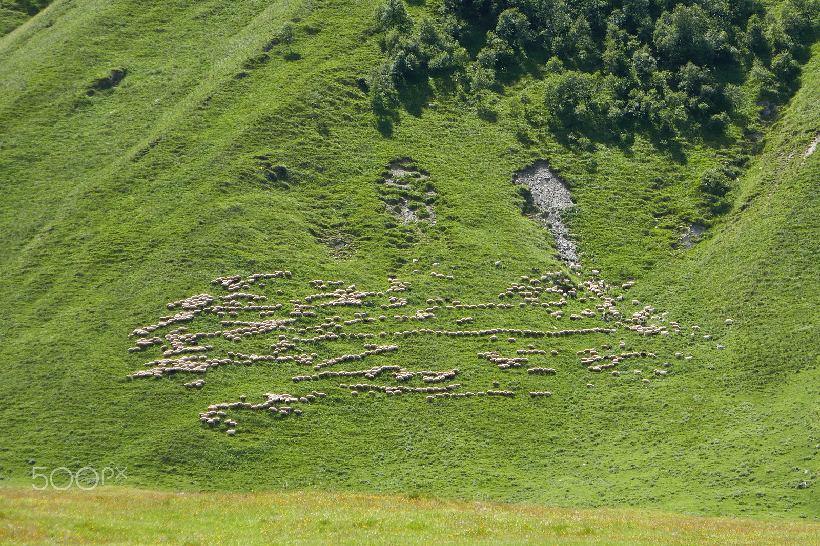 Panasonic DMC-TZ110 sample photo. Truso valley, georgia photography