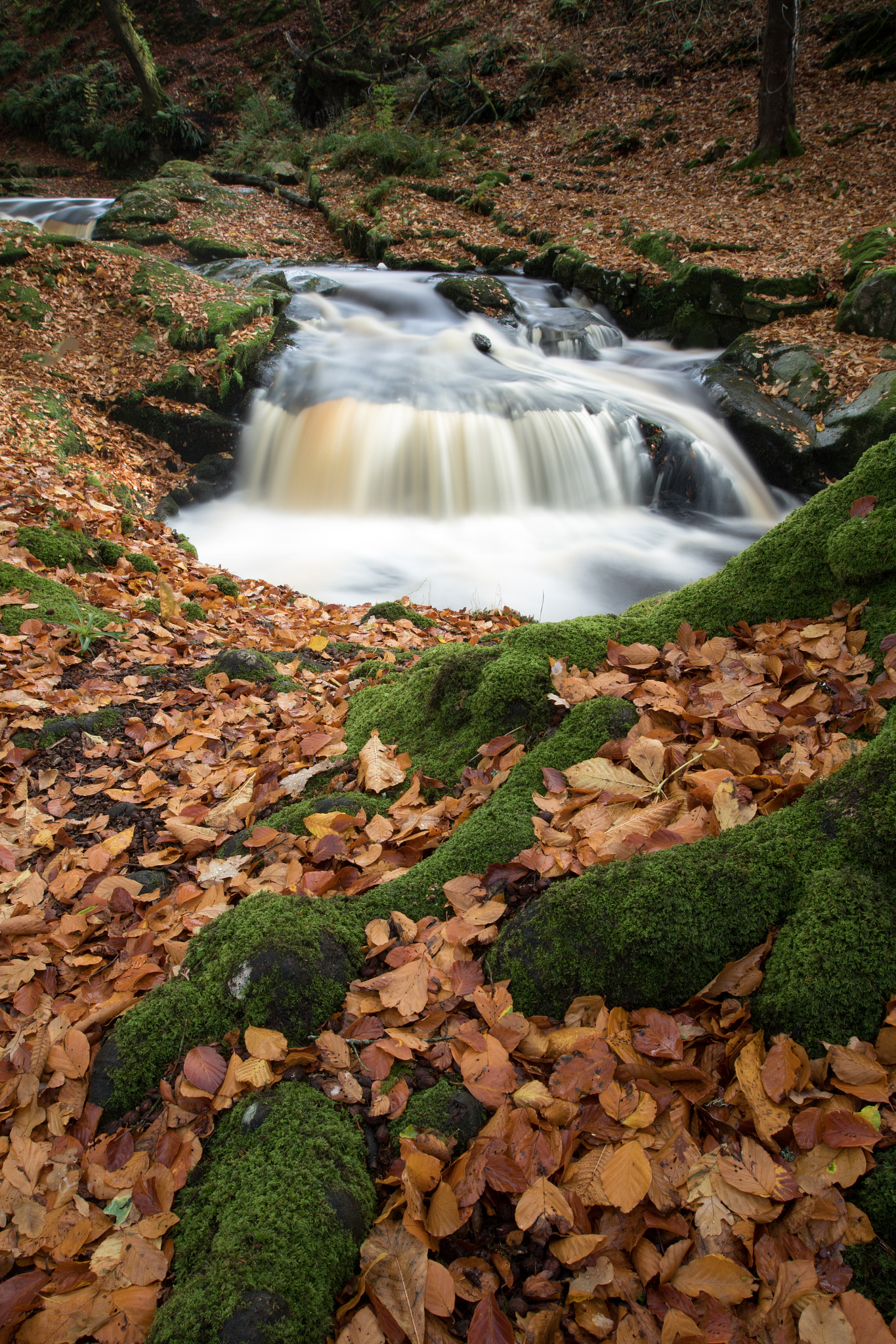 Canon EF 16-35mm F2.8L II USM sample photo. Cloughlea wicklow ireland photography