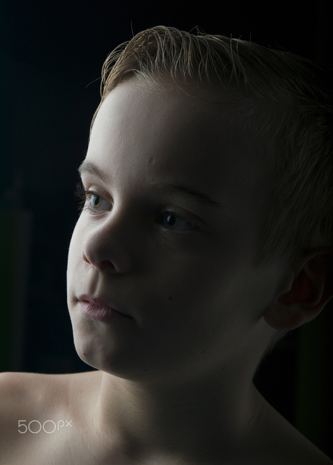 Sigma 17-70mm F2.8-4 DC Macro OS HSM sample photo. Adam photography