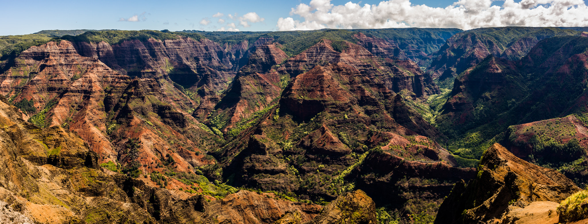 Sony Alpha NEX-7 + Sony Sonnar T* E 24mm F1.8 ZA sample photo. Waimea canyon photography