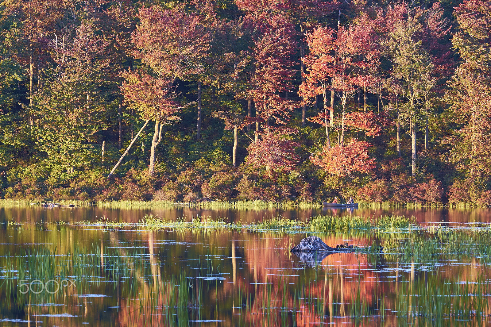 Fujifilm X-T1 + Fujifilm XF 50-140mm F2.8 R LM OIS WR sample photo. Ricketts glen photography