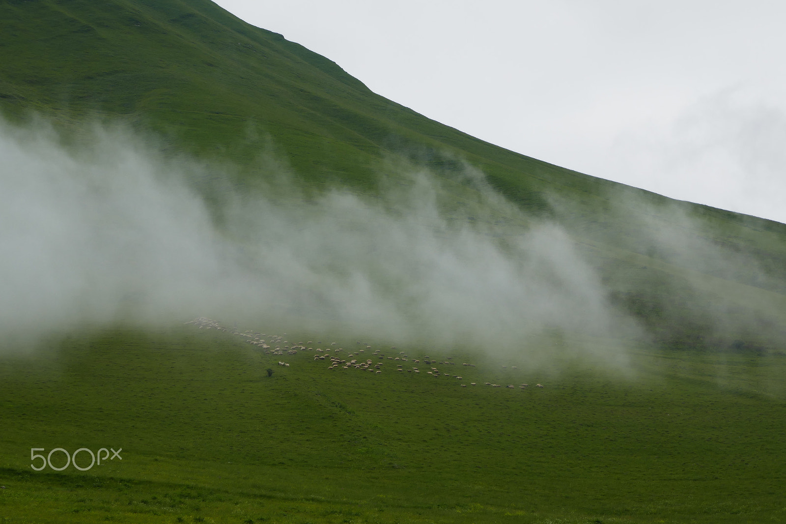 Panasonic DMC-TZ110 sample photo. Khada valley, georgia photography