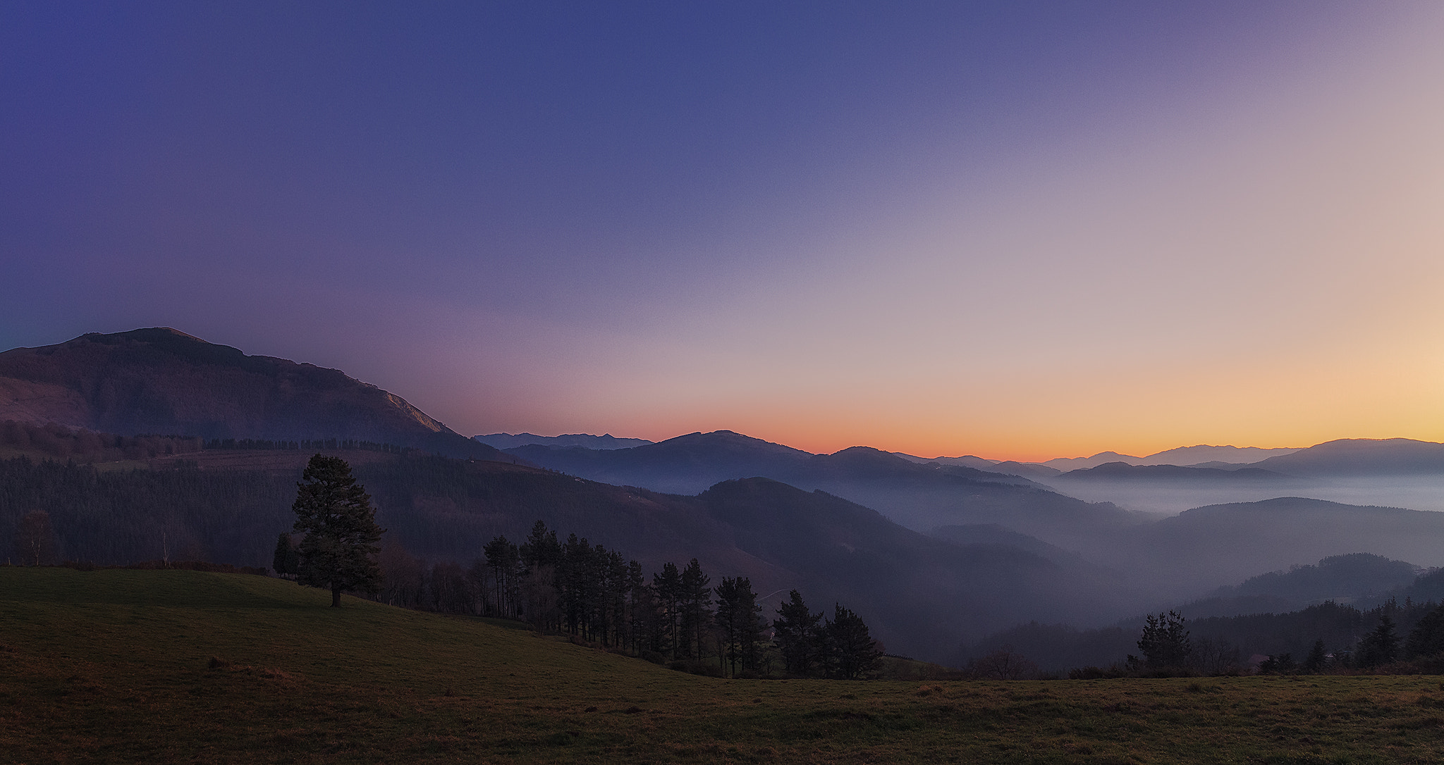 Canon EOS 5D Mark II + Canon EF 300mm f/2.8L sample photo. Laiño artean photography