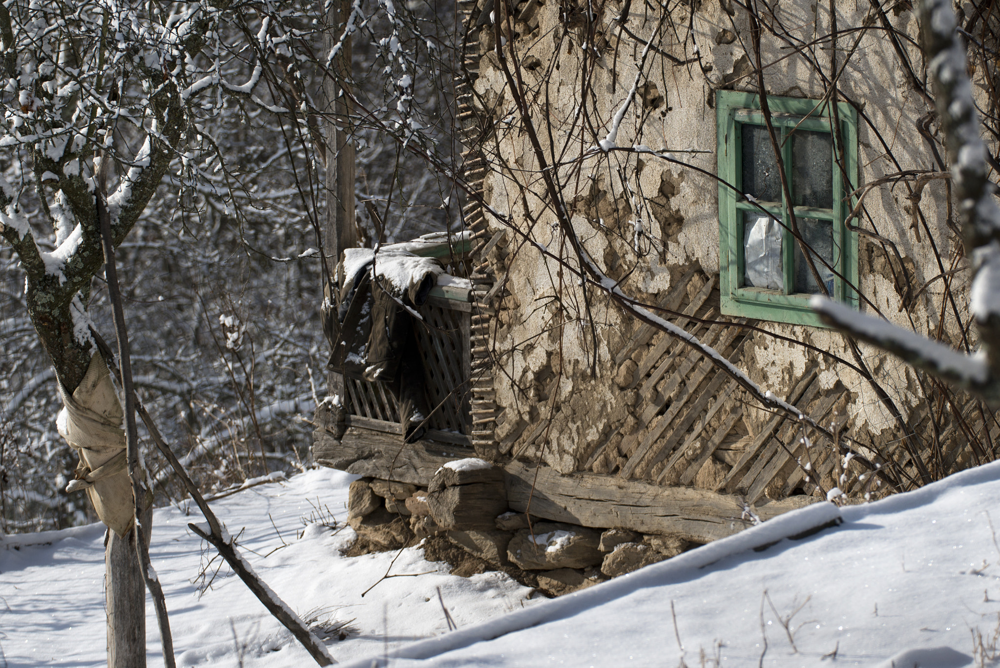 Nikon D800 sample photo. Quiet photography