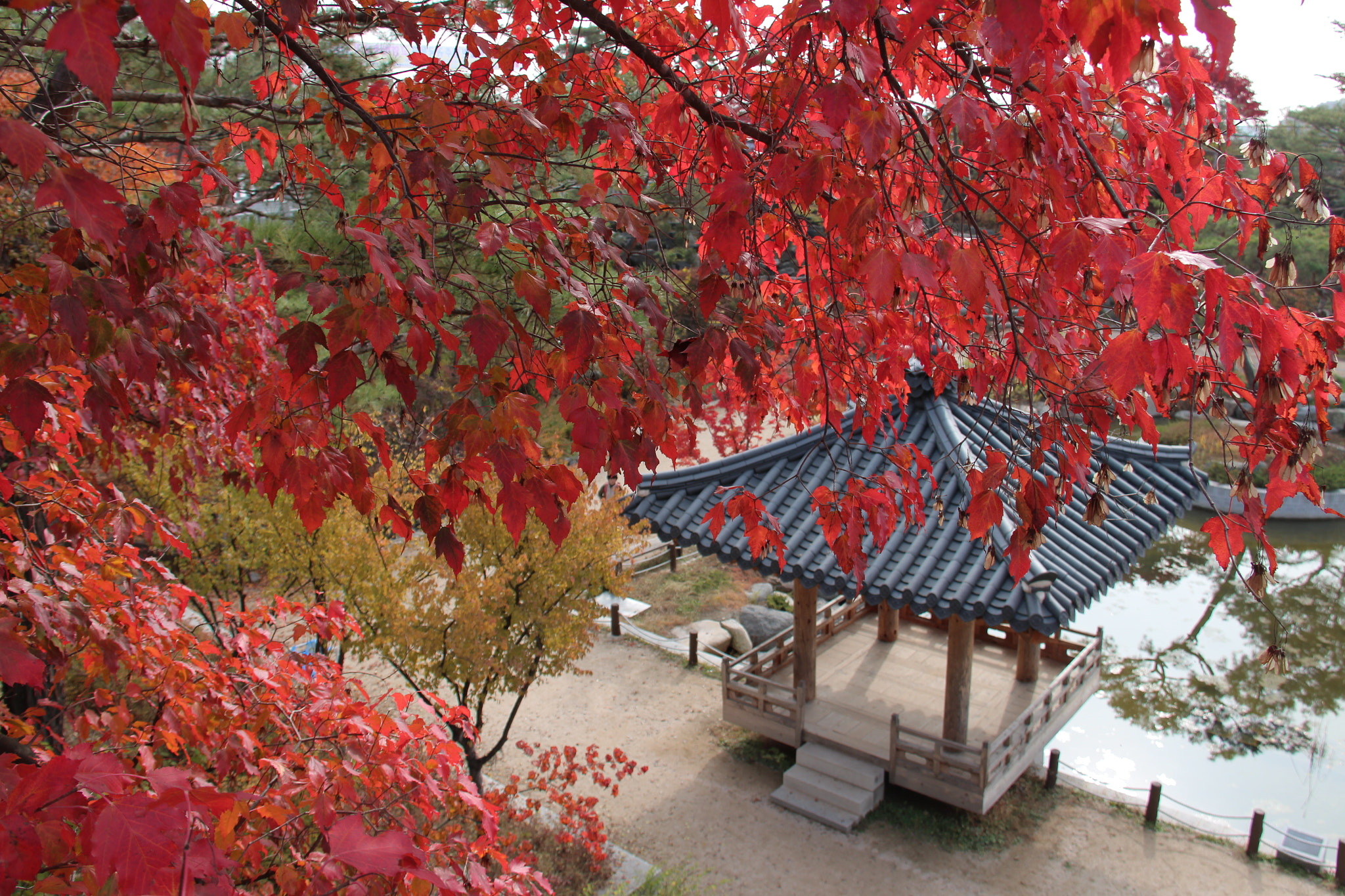 Canon EF-S 18-200mm F3.5-5.6 IS sample photo. 불타는```아름다움 photography