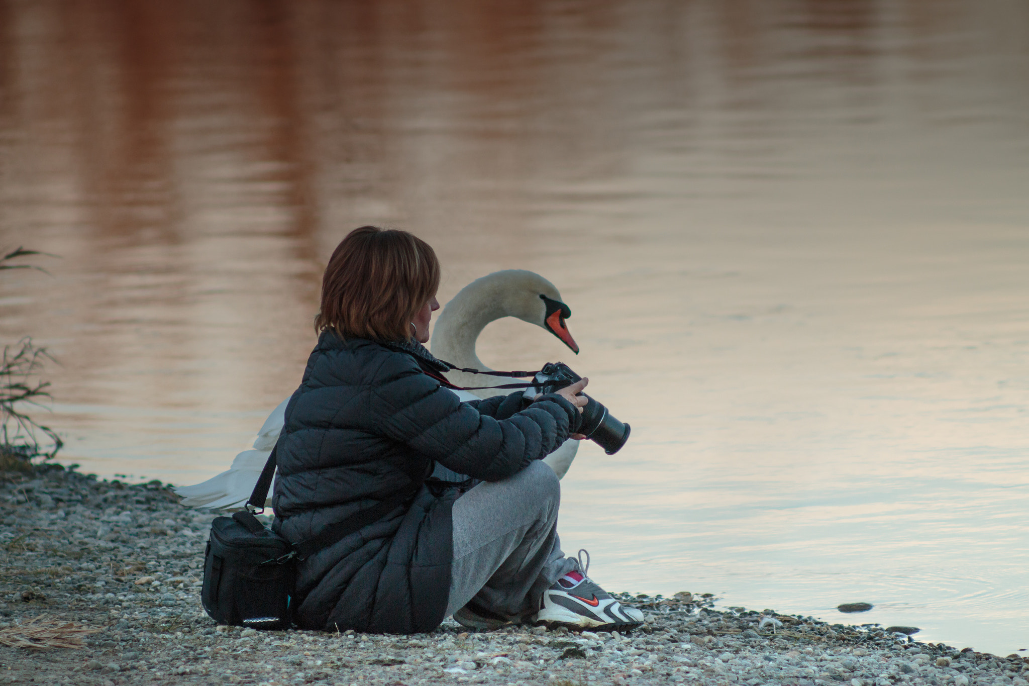 Canon EF 35-80mm f/4-5.6 sample photo. Beatifulls creatures photography