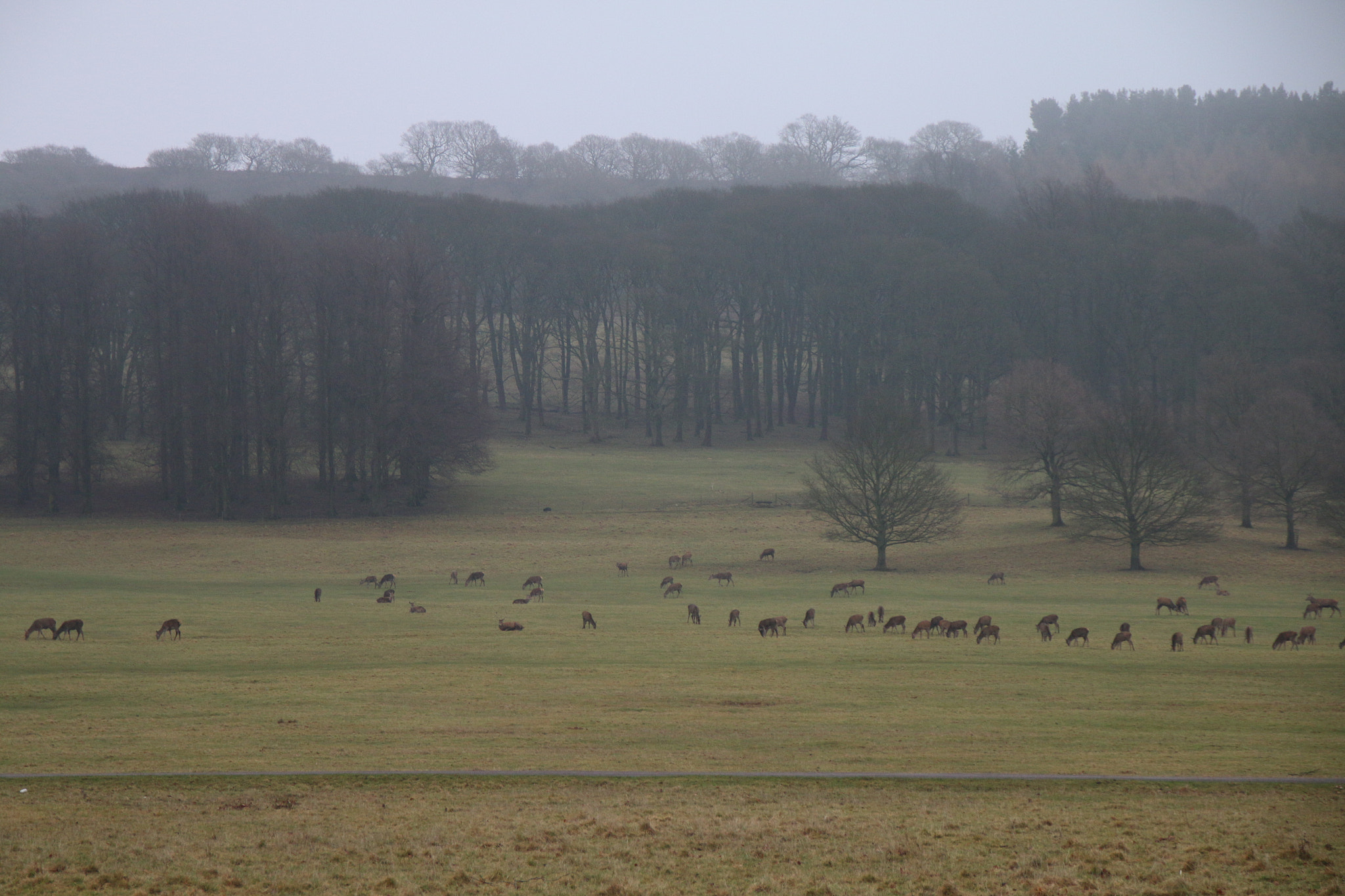 Canon EOS 70D + Sigma 18-125mm F3.8-5.6 DC OS HSM sample photo. Peak district photography